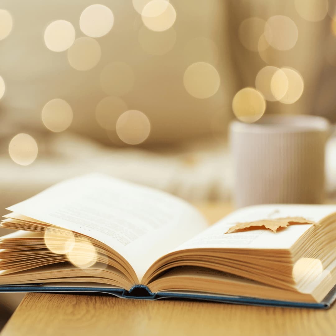 buch-mentoring-onlinekurs-petra-baron.jpg